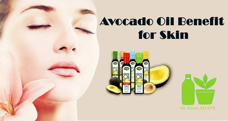 Avocado Oil Benefit For Skin