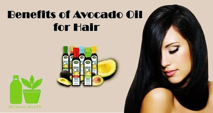 Benefits Of Avocado Oil For Hair