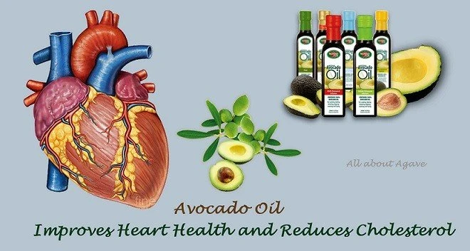 Avocado Oil For Heart
