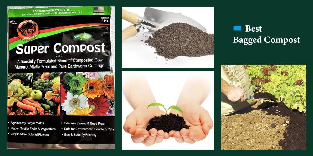 Best Bagged Compost Reviews