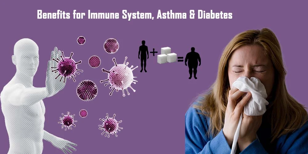 Benefits For Immune System, Asthma & Diabetes