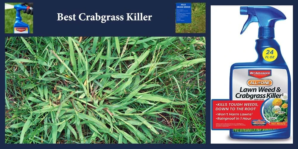 Top 22 Best Crabgrass Killers
