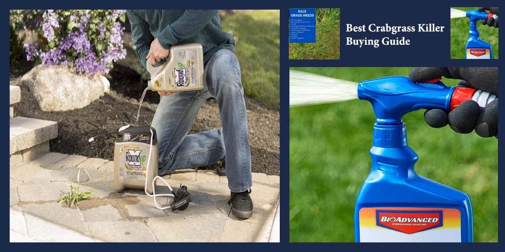 Buying Guide Of Best Crabgrass Killer