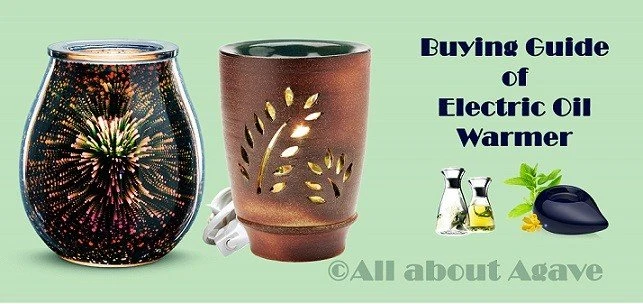 Buying Guide Of Electric Oil Warmer