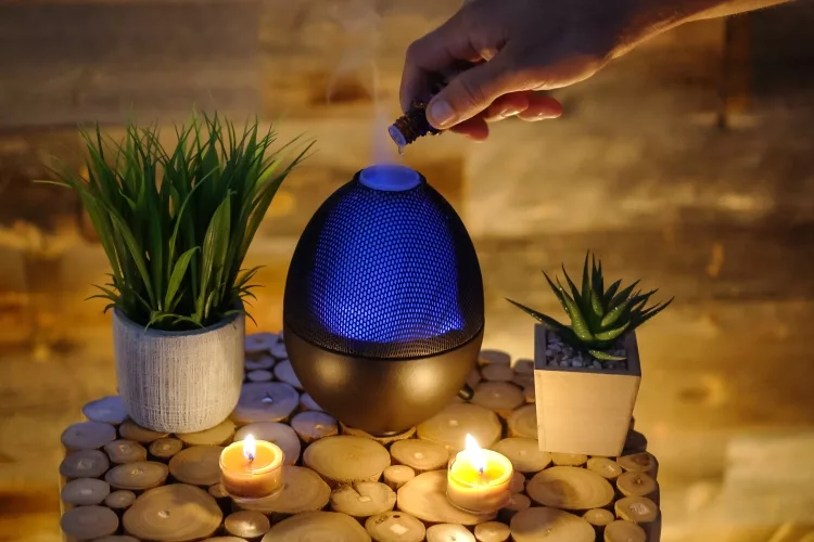 10 Best Essential Oil Diffuser Reviews