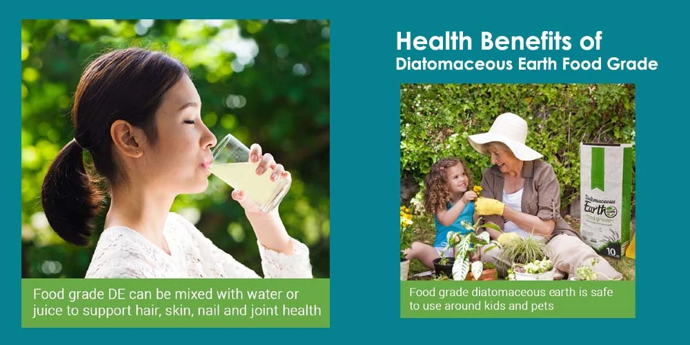 Health Benefits Of Diatomaceous Earth