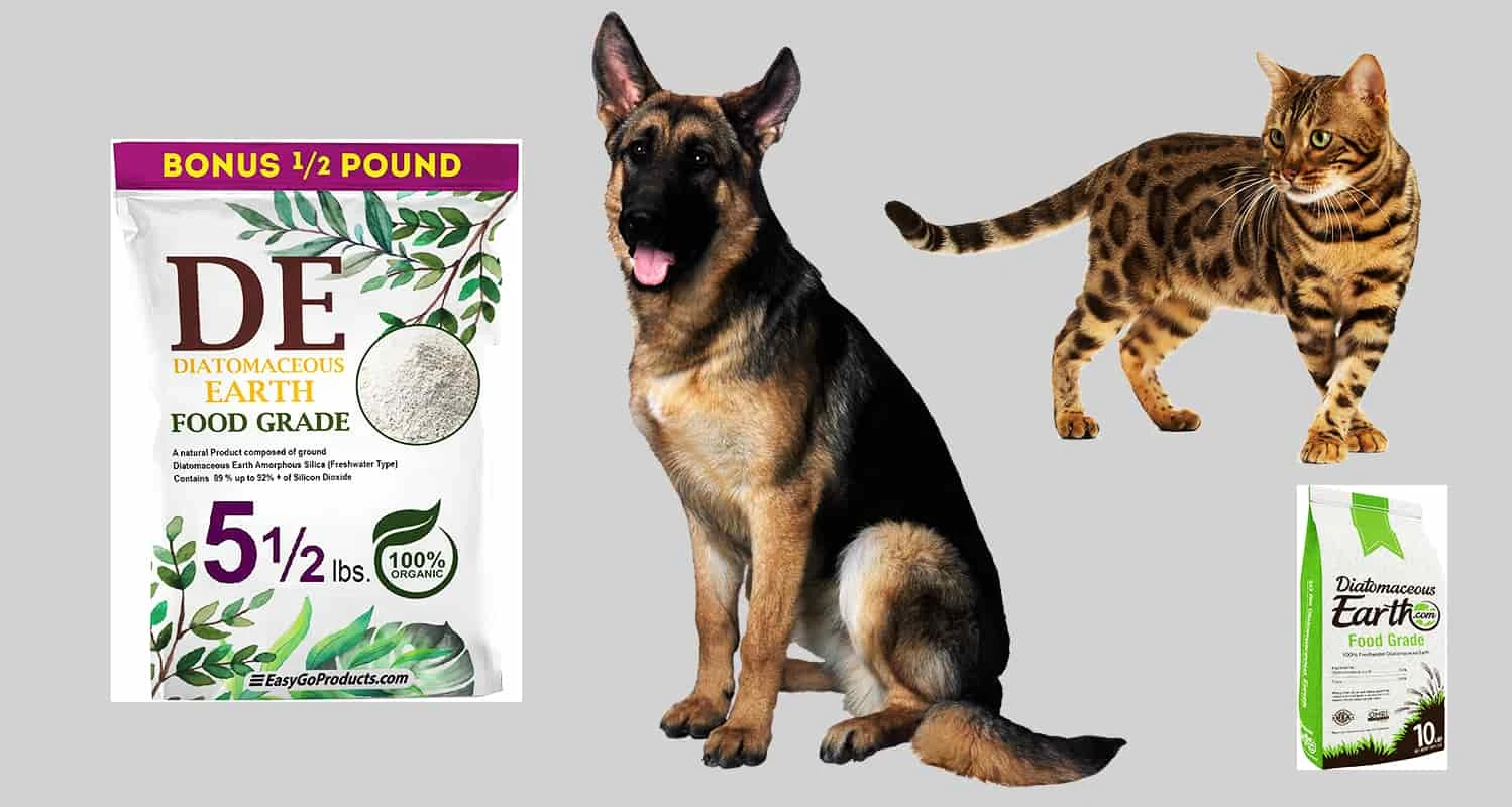 Diatomaceous Earth For Dogs & Cats