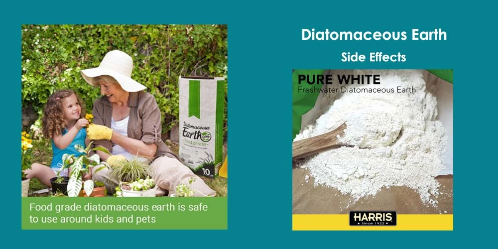 Diatomaceous Earth Side Effects