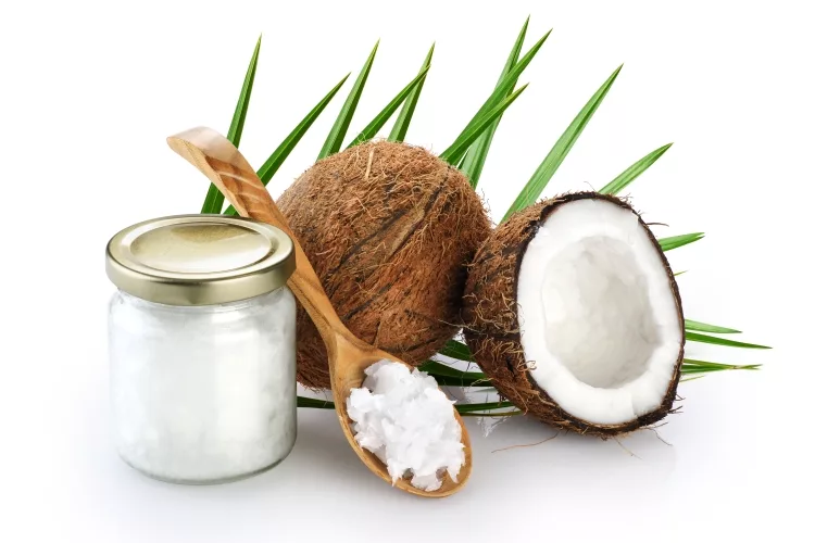 Top 15 Best Fractionated Coconut Oil Reviews