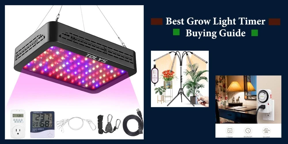 Buying Guide Of Best Grow Light Timer