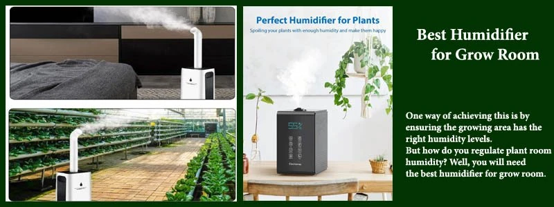 Top 8 Best Humidifier for Grow Room Reviews