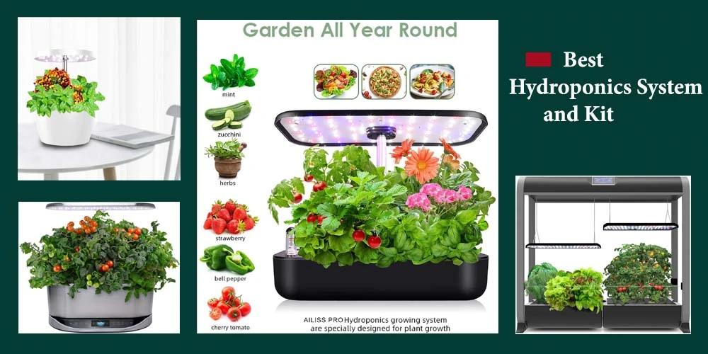 Top 30 Best Hydroponics System and Kit Ideas