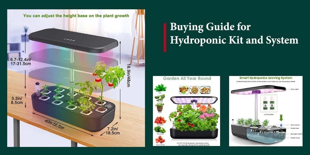 Buying Guide Of Hydroponic Kit And System