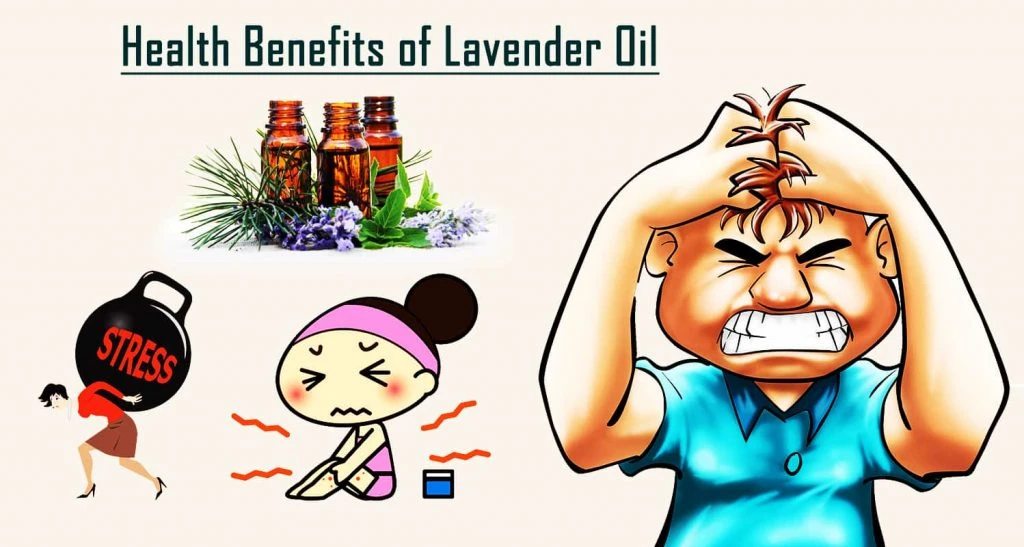 Health Benefits Of Lavender Oil