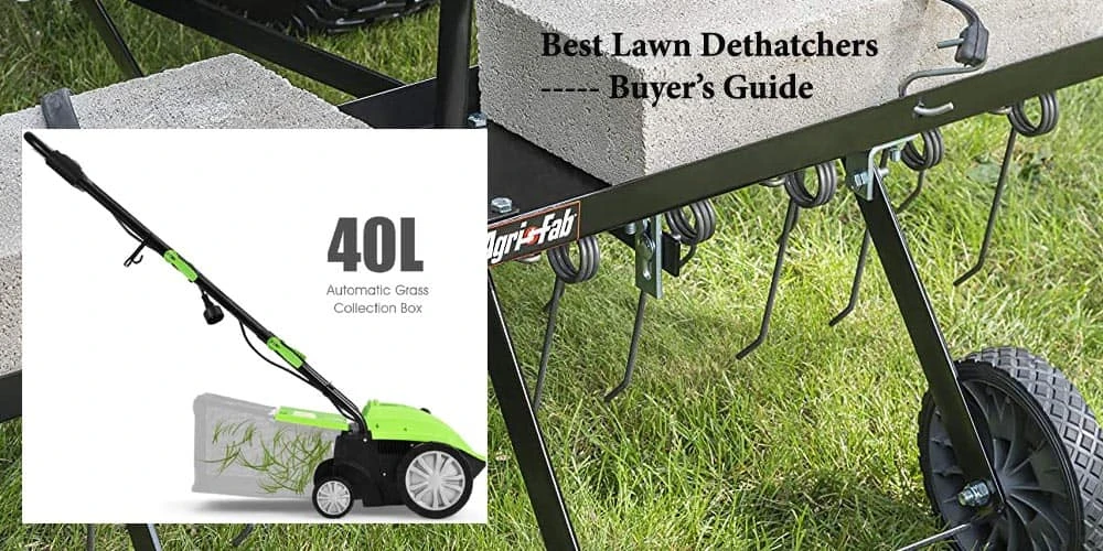 Buying Guide Of Lawn Dethatchers