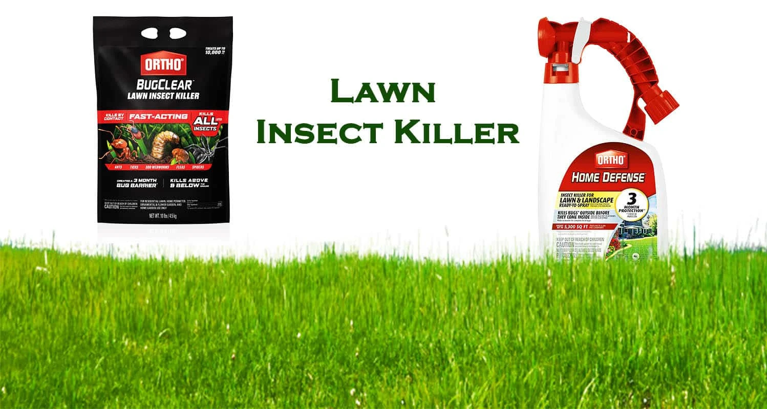 Top 13 Best Lawn Insect Killer Reviews