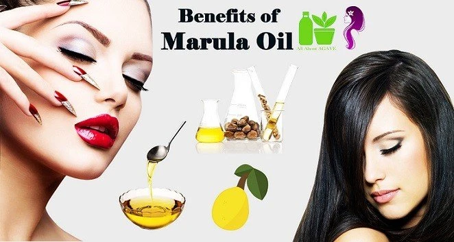 Benefits Of Marula Oil