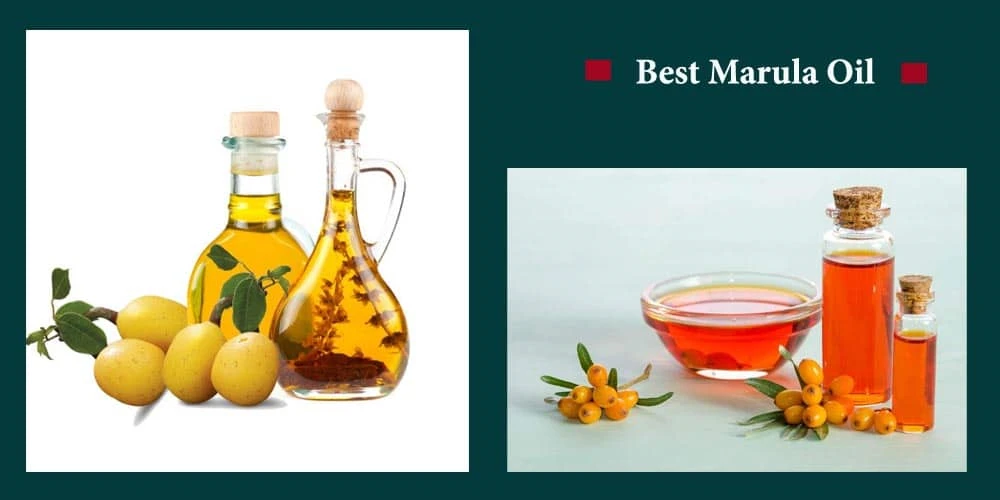 Top 11 Best Marula Oil Reviews