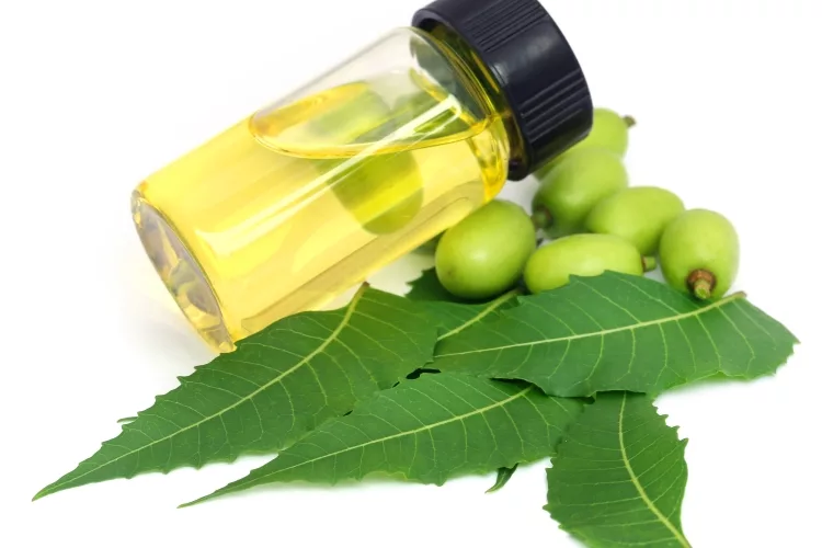 Neem oil Benefits