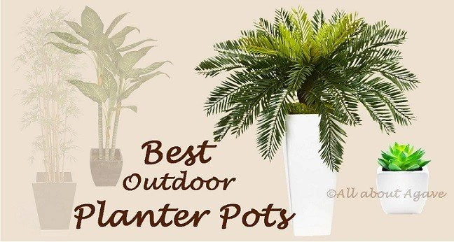 Buy Planter Pots