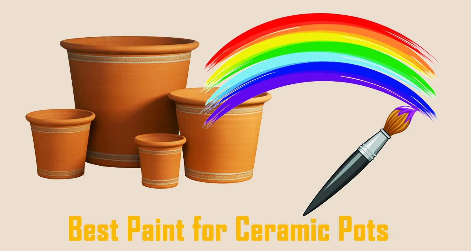 Top 11 Best Paint for Ceramic Pots