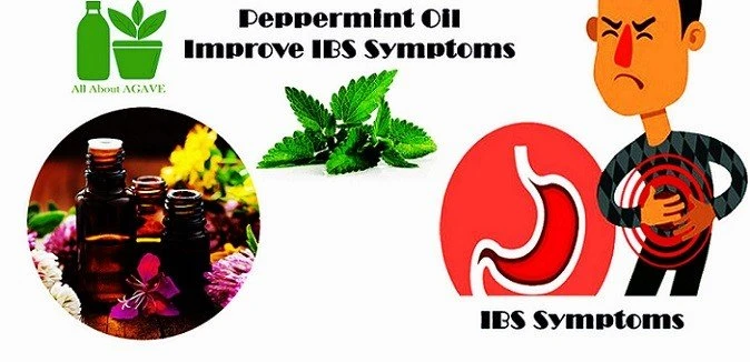 Best Peppermint Oil For Ibs