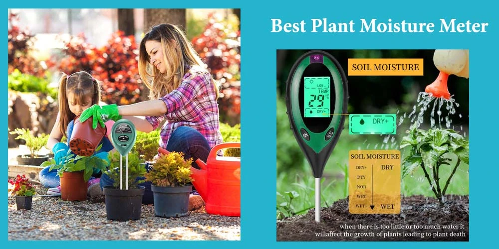 Top 17 Best Plant Moisture Meter