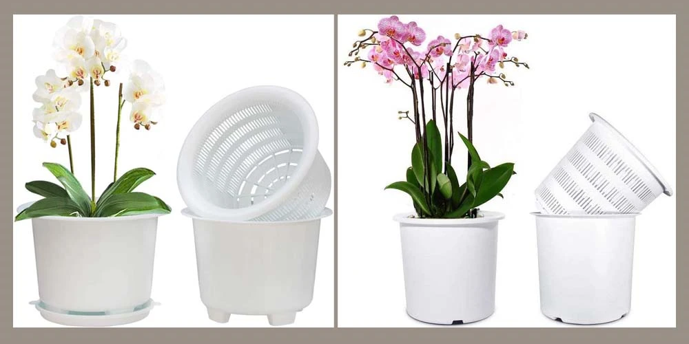 15 Best Pots for Orchids: Types and Buying Guide