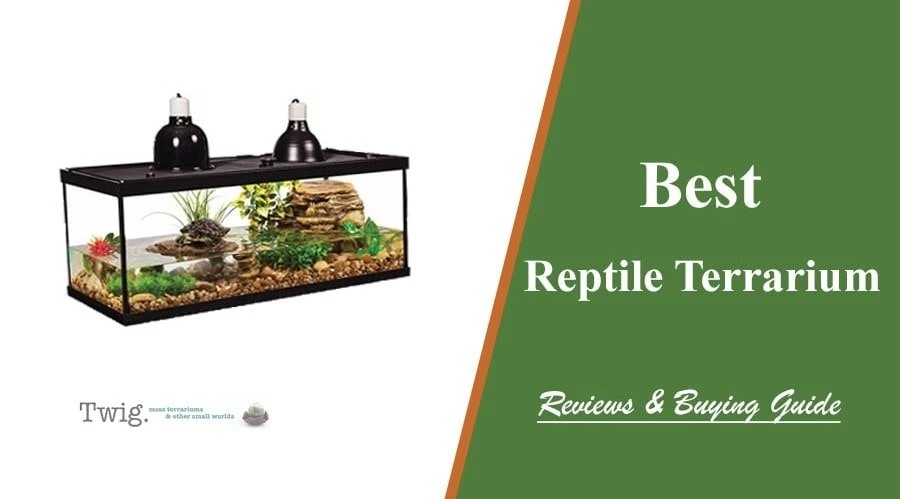 Top 5 Best Reptile Terrarium Reviews