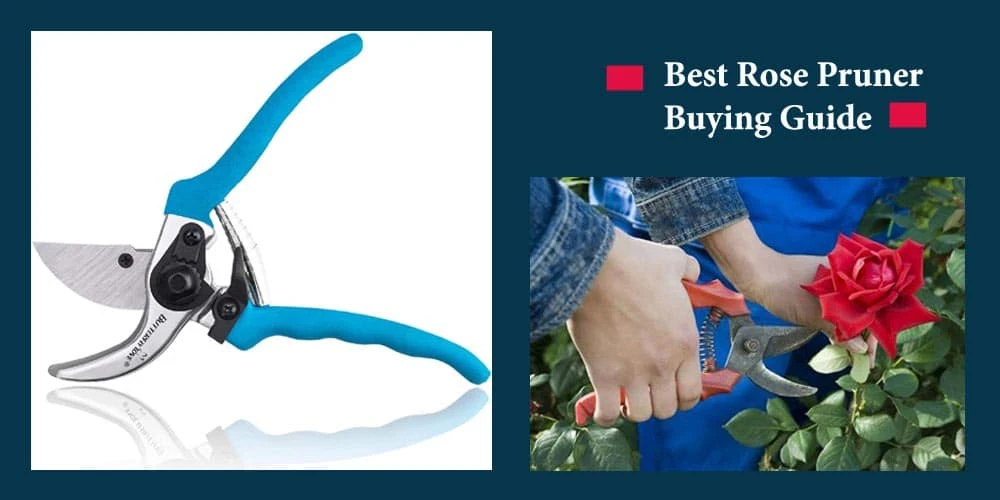 Buying Guide Of Best Rose Pruner