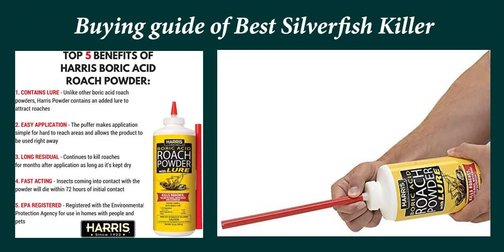 Buying Guide Of Silverfish Killer