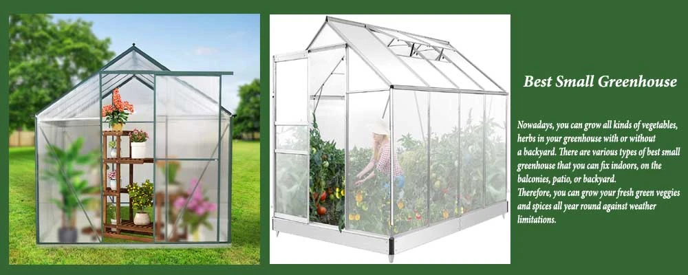 25 Best Small Greenhouse Reviews
