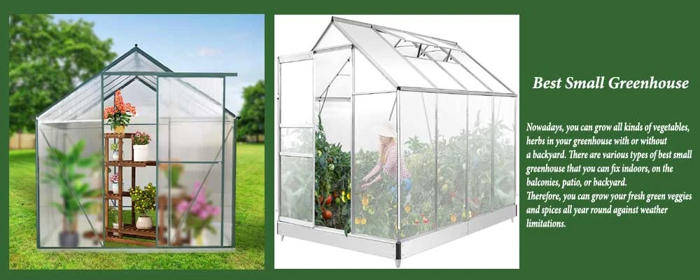 Top 25 Best Small Greenhouse Reviews