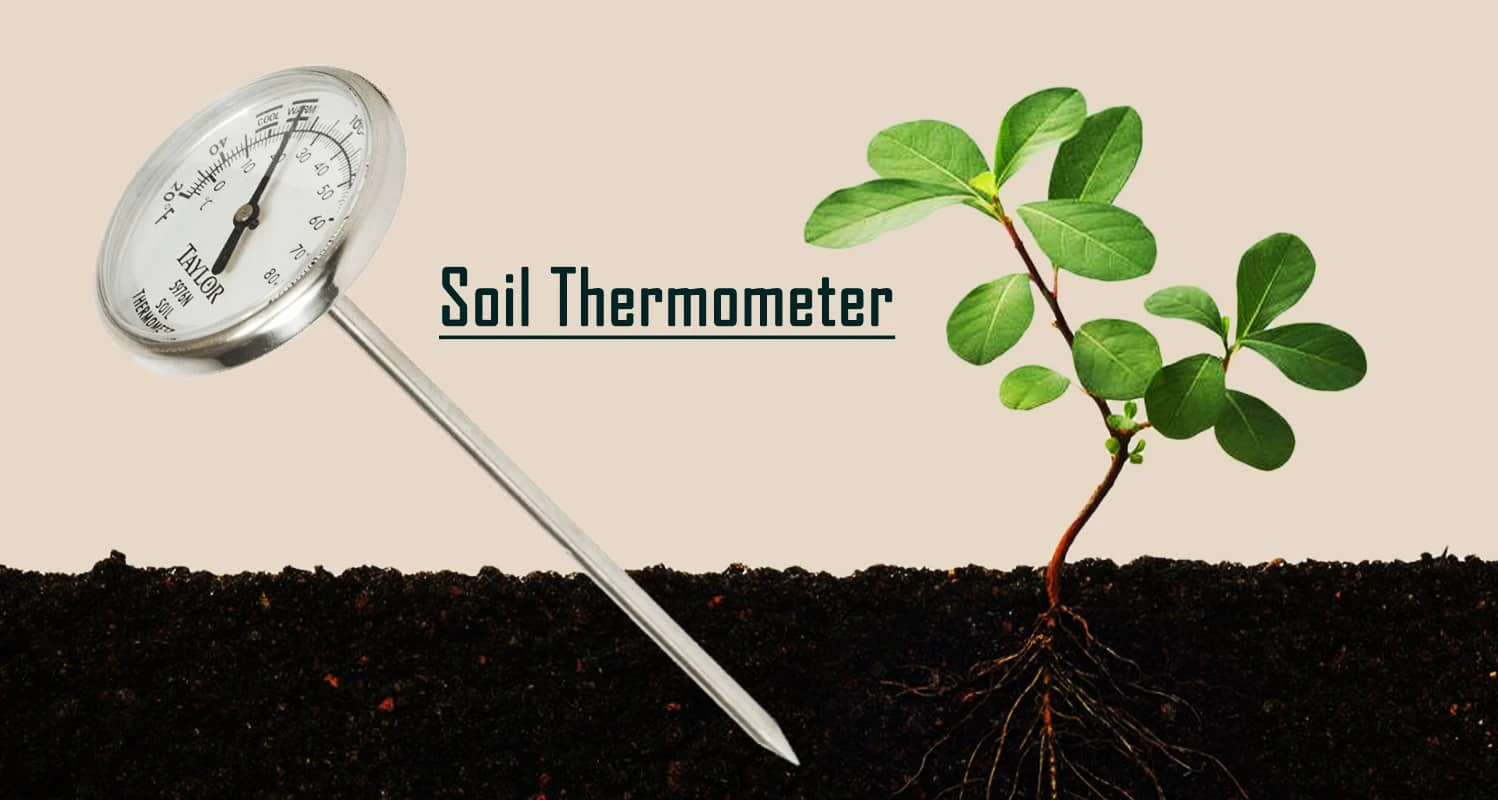 Top 10 Best Soil Thermometer Reviews