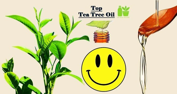 Top 10 Best Tea Tree Oil Brands