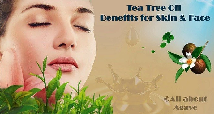Tea Tree Oil Benefits For Skin And Face
