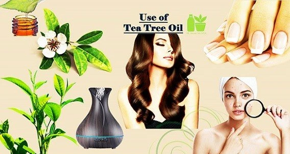 How To Use Tea Tree Oil
