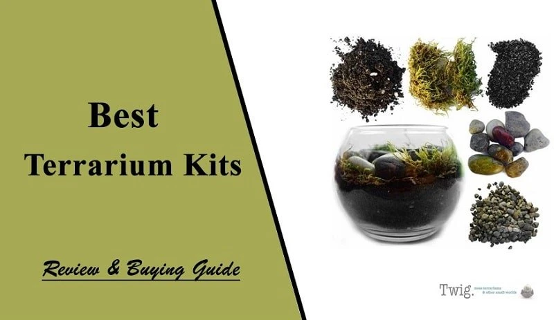 Top 10 Best Terrarium Kits Reviews