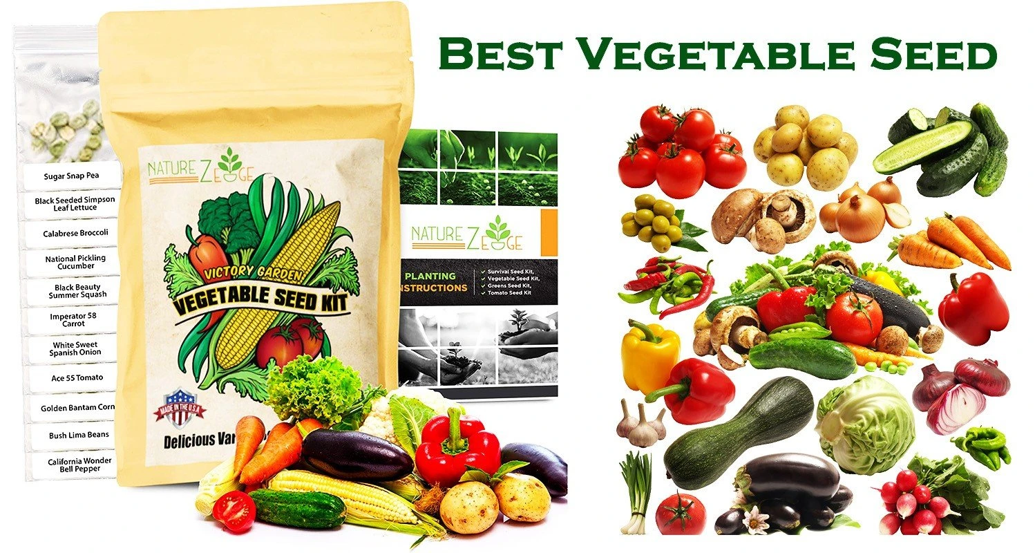 Top 13 Best Vegetable Seed Reviews