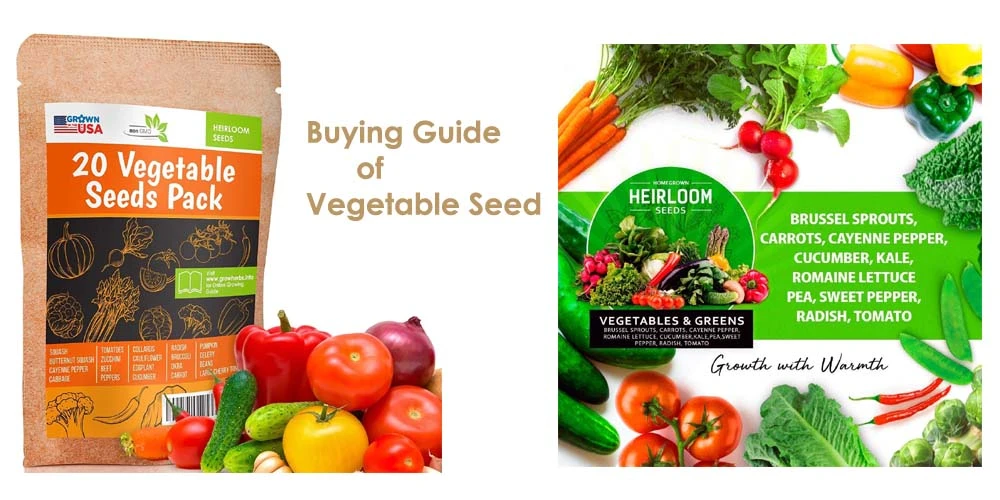 Set of 43 Assorted Vegetable & Herb Seeds - 43 Varieties - Create A Deluxe Garden All Seeds Are Heirloom - 100% Non-GMO by Black Duck Brand