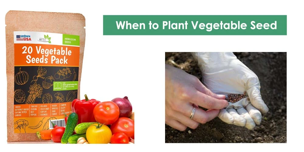 Planting Vegetable Seed