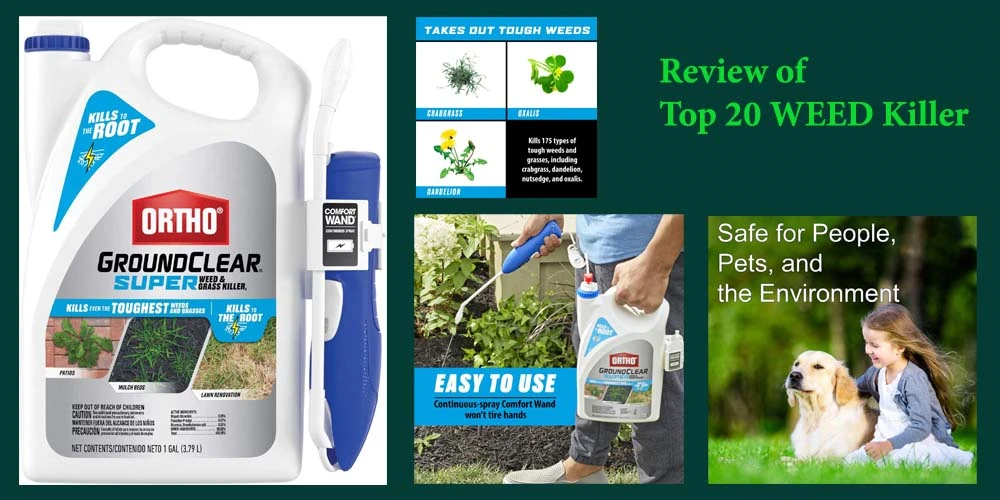 20 Best Weed Killer for Lawns Reviews