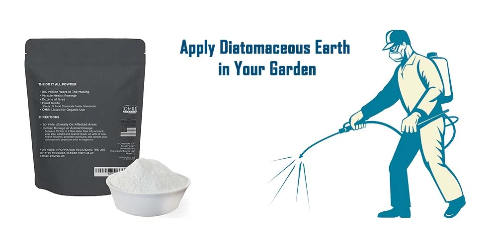 Apply Diatomaceous Earth In Your Garden