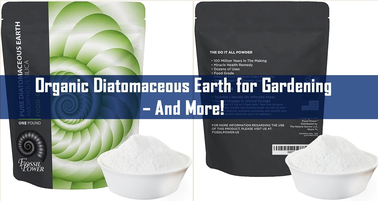 Diatomaceous Earth Pest Control Reviews