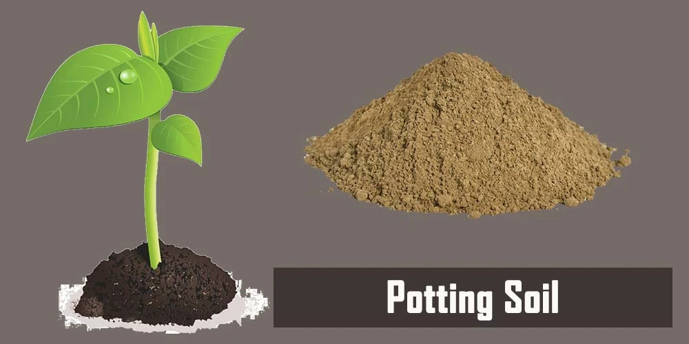 Potting Soil