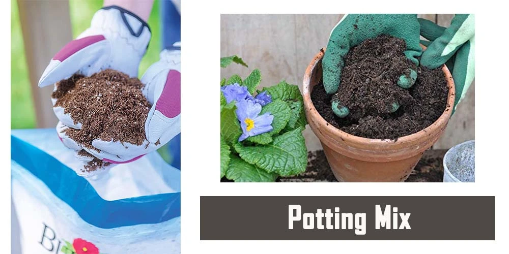 Potting Mix