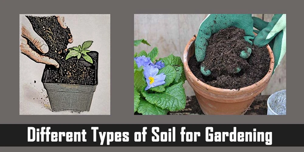 Different Types of Soil for Gardening
