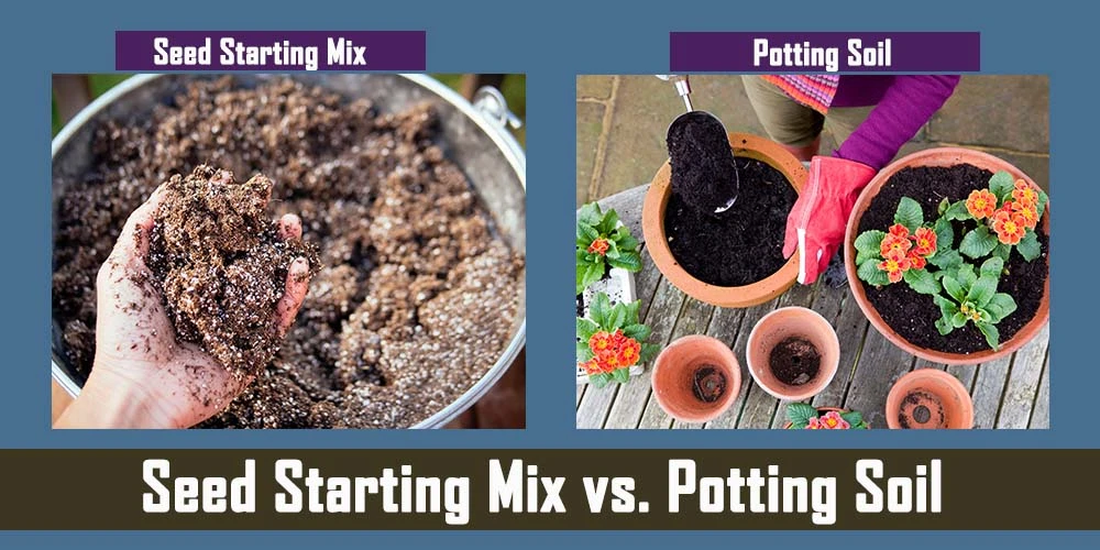 Seed Starting Mix Vs. Potting Soil