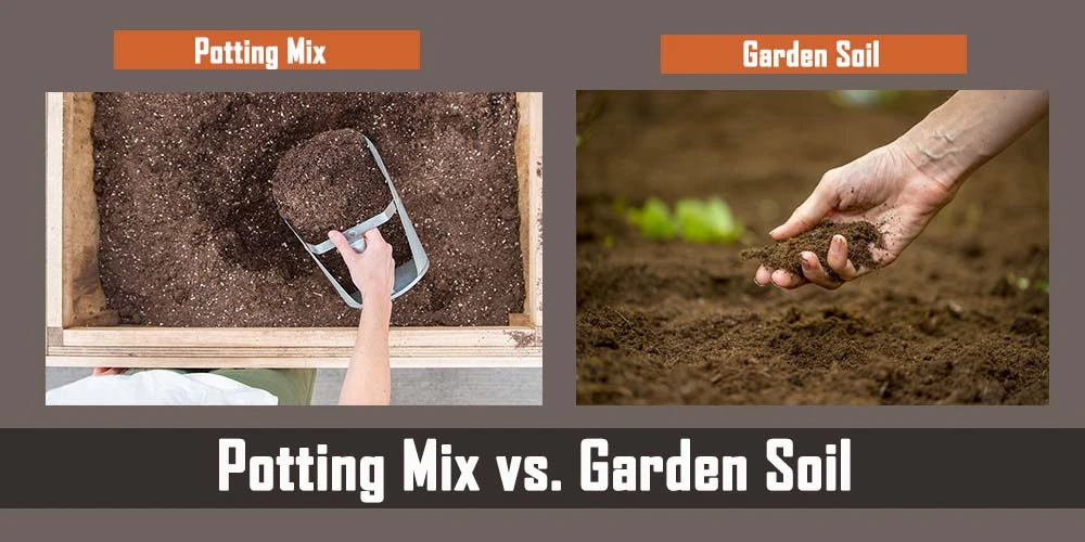 Potting Mix Vs. Garden Soil