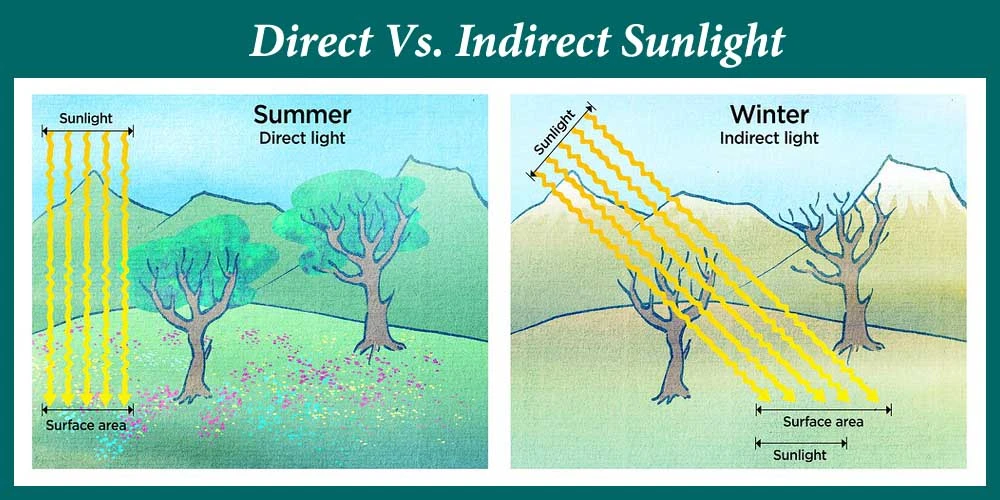 Direct Vs. Indirect Sunlight